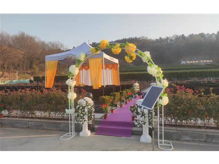 如意万年礼仪套餐